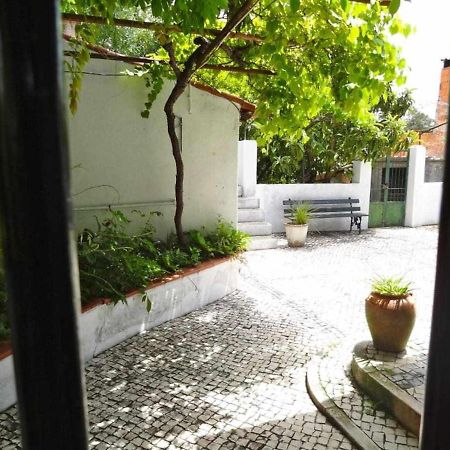 Casa Dos Pocinhos Ferias Tranquilas No Campo Торриш-Новаш Экстерьер фото